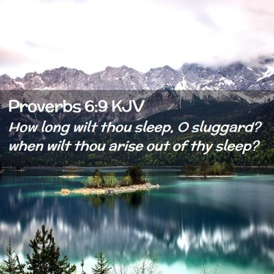 Picture 02 - Proverbs 6:9 KJV - How long wilt thou sleep, O sluggard? when wilt - Bible Verse Picture