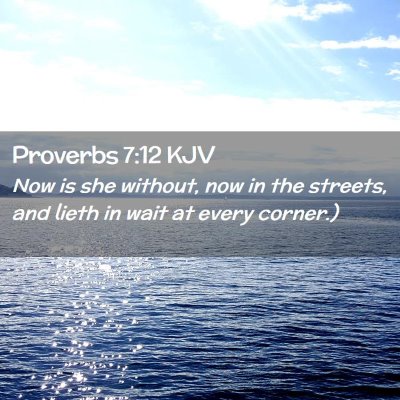 Picture 02 - Proverbs 7:12 KJV - Now is she without, now in the streets, and lieth - Bible Verse Picture