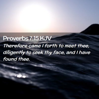 Picture 02 - Proverbs 7:15 KJV - Therefore came I forth to meet thee, diligently - Bible Verse Picture