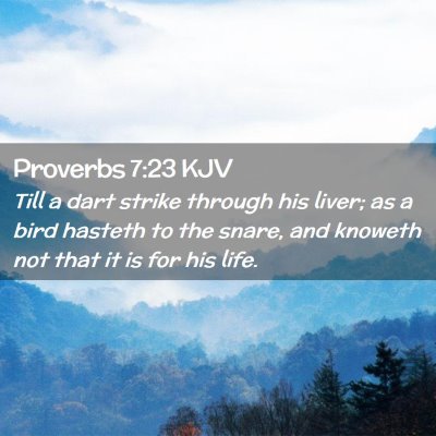 Picture 02 - Proverbs 7:23 KJV - Till a dart strike through his liver; as a bird - Bible Verse Picture