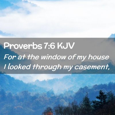 Picture 02 - Proverbs 7:6 KJV - For at the window of my house I looked through my - Bible Verse Picture