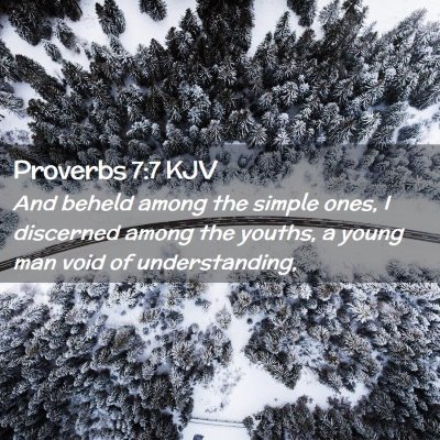 Picture 02 - Proverbs 7:7 KJV - And beheld among the simple ones, I discerned - Bible Verse Picture