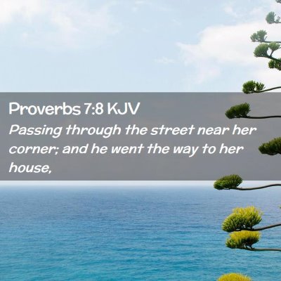 Picture 02 - Proverbs 7:8 KJV - Passing through the street near her corner; and - Bible Verse Picture