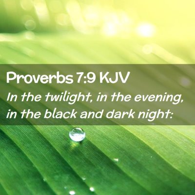 Picture 02 - Proverbs 7:9 KJV - In the twilight, in the evening, in the black and - Bible Verse Picture