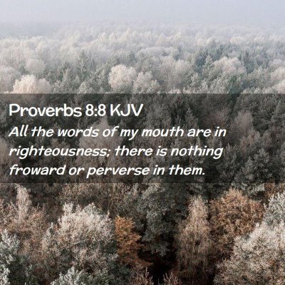 Picture 02 - Proverbs 8:8 KJV - All the words of my mouth are in righteousness; - Bible Verse Picture