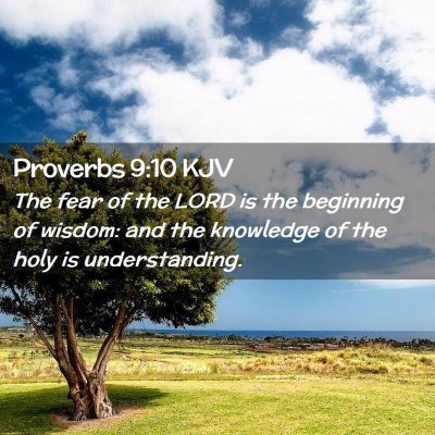 Picture 02 - Proverbs 9:10 KJV - The fear of the LORD is the beginning of wisdom: - Bible Verse Picture