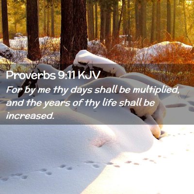 Picture 02 - Proverbs 9:11 KJV - For by me thy days shall be multiplied, and the - Bible Verse Picture