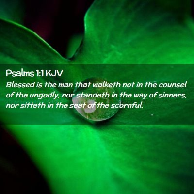 Picture 02 - Psalms 1:1 KJV - Blessed is the man that walketh not in the - Bible Verse Picture
