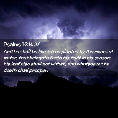 Picture 02 - Psalms 1:3 KJV - And he shall be like a tree planted by the rivers - Bible Verse Picture
