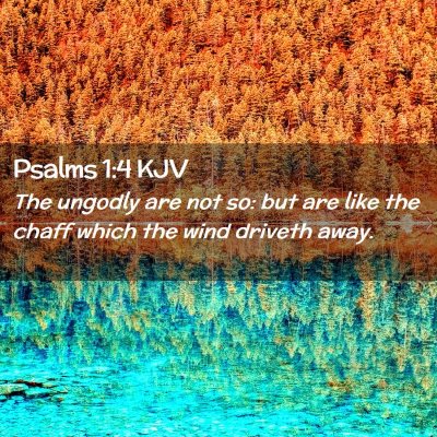 Picture 02 - Psalms 1:4 KJV - The ungodly are not so: but are like the chaff - Bible Verse Picture