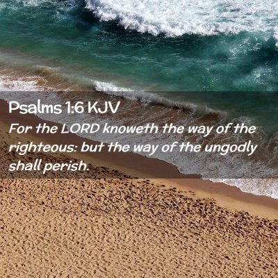 Picture 02 - Psalms 1:6 KJV - For the LORD knoweth the way of the righteous: - Bible Verse Picture