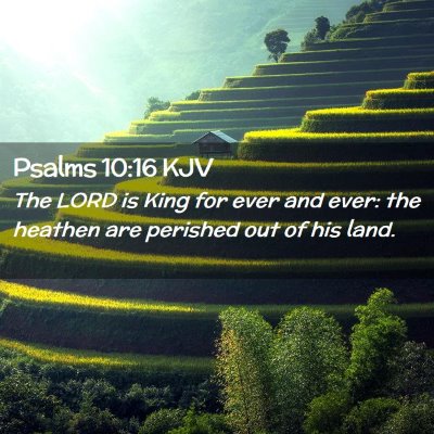Picture 02 - Psalms 10:16 KJV - The LORD is King for ever and ever: the heathen - Bible Verse Picture