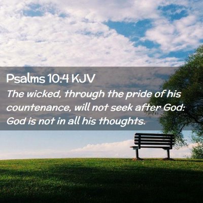Picture 02 - Psalms 10:4 KJV - The wicked, through the pride of his countenance, - Bible Verse Picture