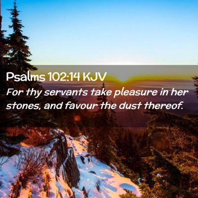 Picture 02 - Psalms 102:14 KJV - For thy servants take pleasure in her stones, and - Bible Verse Picture