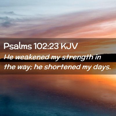 Picture 02 - Psalms 102:23 KJV - He weakened my strength in the way; he shortened - Bible Verse Picture