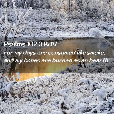 Picture 02 - Psalms 102:3 KJV - For my days are consumed like smoke, and my bones - Bible Verse Picture