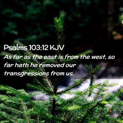 Picture 02 - Psalms 103:12 KJV - As far as the east is from the west, so far hath - Bible Verse Picture