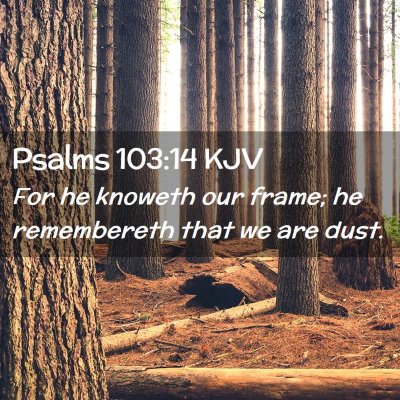 Picture 02 - Psalms 103:14 KJV - For he knoweth our frame; he remembereth that we - Bible Verse Picture