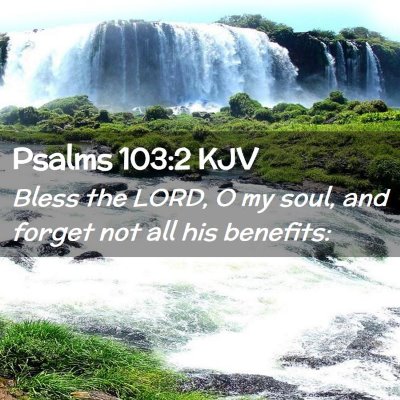 Picture 02 - Psalms 103:2 KJV - Bless the LORD, O my soul, and forget not all his - Bible Verse Picture