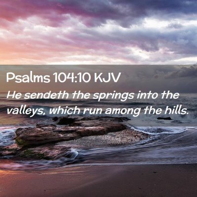 Picture 02 - Psalms 104:10 KJV - He sendeth the springs into the valleys, which - Bible Verse Picture