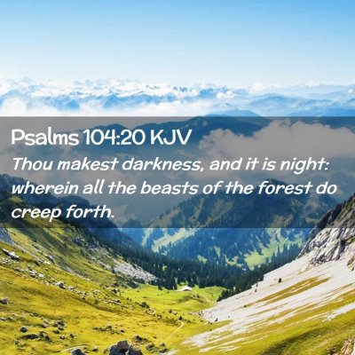Picture 02 - Psalms 104:20 KJV - Thou makest darkness, and it is night: wherein - Bible Verse Picture