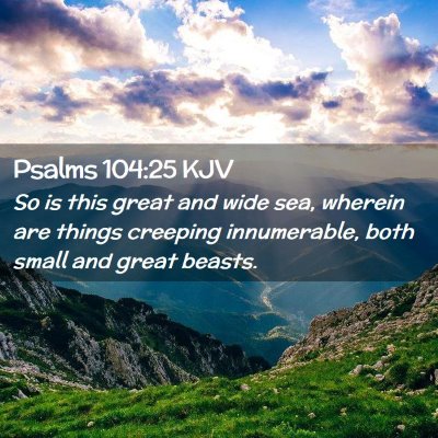 Picture 02 - Psalms 104:25 KJV - So is this great and wide sea, wherein are things - Bible Verse Picture