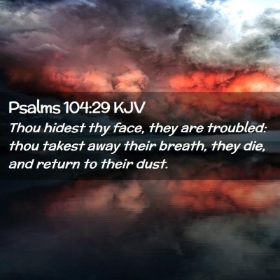 Picture 02 - Psalms 104:29 KJV - Thou hidest thy face, they are troubled: thou - Bible Verse Picture