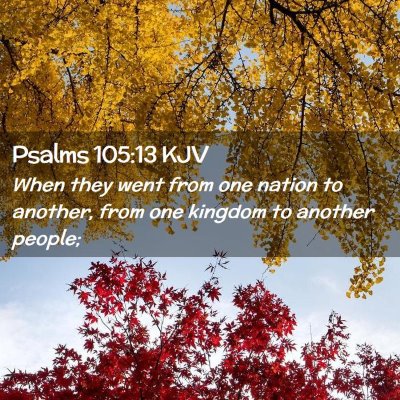 Picture 02 - Psalms 105:13 KJV - When they went from one nation to another, from - Bible Verse Picture
