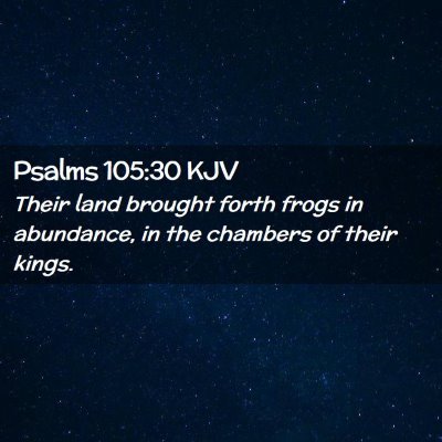 Picture 02 - Psalms 105:30 KJV - Their land brought forth frogs in abundance, in - Bible Verse Picture
