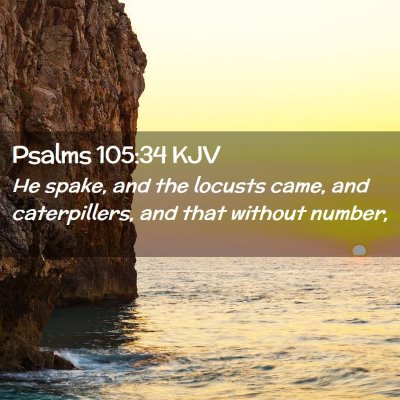 Picture 02 - Psalms 105:34 KJV - He spake, and the locusts came, and caterpillers, - Bible Verse Picture