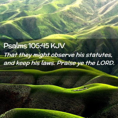 Picture 02 - Psalms 105:45 KJV - That they might observe his statutes, and keep - Bible Verse Picture