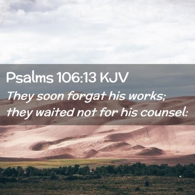 Picture 02 - Psalms 106:13 KJV - They soon forgat his works; they waited not for - Bible Verse Picture