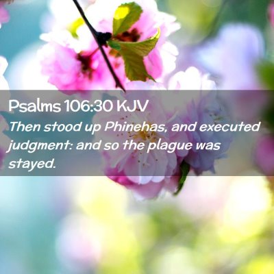Picture 02 - Psalms 106:30 KJV - Then stood up Phinehas, and executed judgment: - Bible Verse Picture
