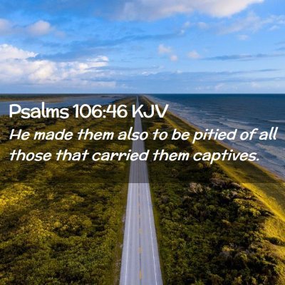 Picture 02 - Psalms 106:46 KJV - He made them also to be pitied of all those that - Bible Verse Picture