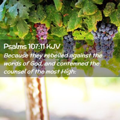 Picture 02 - Psalms 107:11 KJV - Because they rebelled against the words of God, - Bible Verse Picture