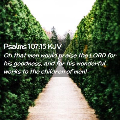 Picture 02 - Psalms 107:15 KJV - Oh that men would praise the LORD for his - Bible Verse Picture
