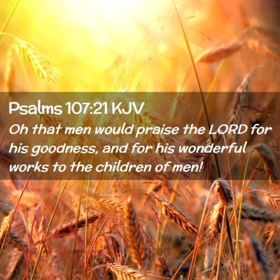 Picture 02 - Psalms 107:21 KJV - Oh that men would praise the LORD for his - Bible Verse Picture