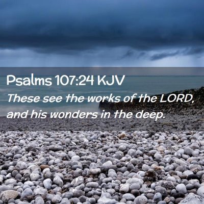 Picture 02 - Psalms 107:24 KJV - These see the works of the LORD, and his wonders - Bible Verse Picture