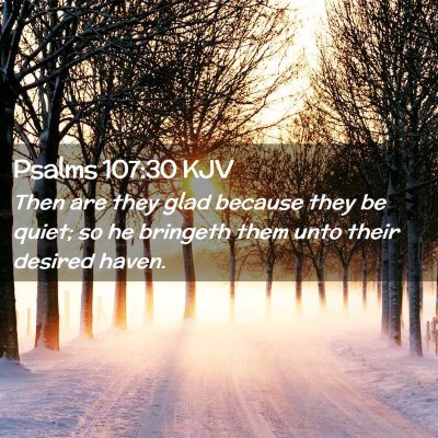Picture 02 - Psalms 107:30 KJV - Then are they glad because they be quiet; so he - Bible Verse Picture