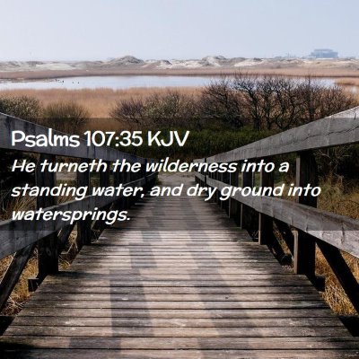 Picture 02 - Psalms 107:35 KJV - He turneth the wilderness into a standing water, - Bible Verse Picture