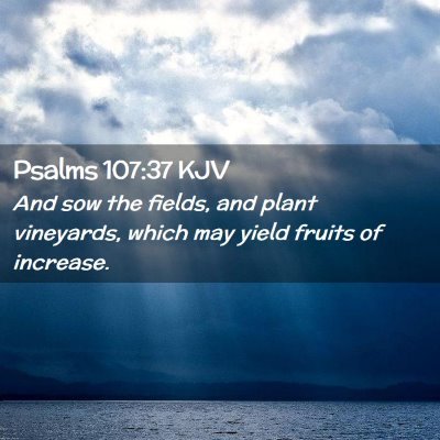 Picture 02 - Psalms 107:37 KJV - And sow the fields, and plant vineyards, which - Bible Verse Picture
