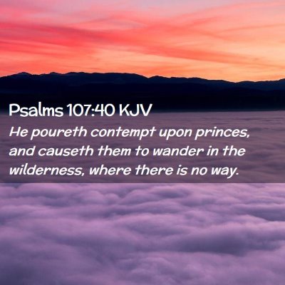 Picture 02 - Psalms 107:40 KJV - He poureth contempt upon princes, and causeth - Bible Verse Picture