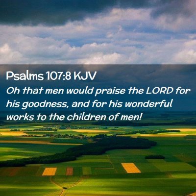 Picture 02 - Psalms 107:8 KJV - Oh that men would praise the LORD for his - Bible Verse Picture