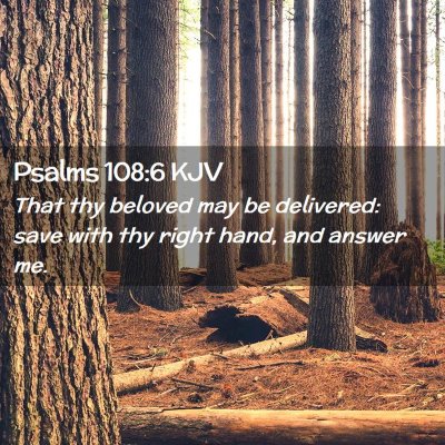 Picture 02 - Psalms 108:6 KJV - That thy beloved may be delivered: save with thy - Bible Verse Picture