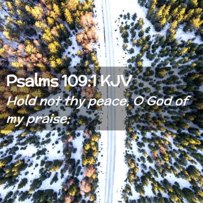 Picture 02 - Psalms 109:1 KJV - Hold not thy peace, O God of my - Bible Verse Picture