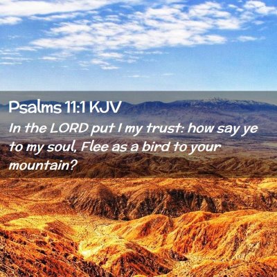 Picture 02 - Psalms 11:1 KJV - In the LORD put I my trust: how say ye to my - Bible Verse Picture