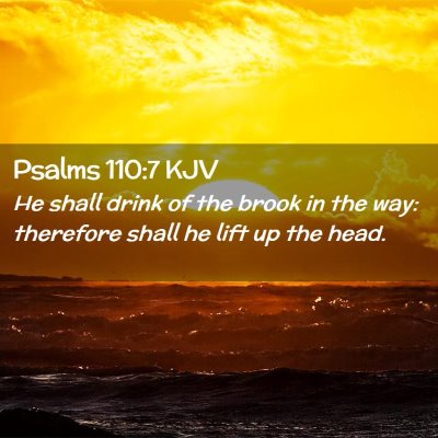 Picture 02 - Psalms 110:7 KJV - He shall drink of the brook in the way: therefore - Bible Verse Picture