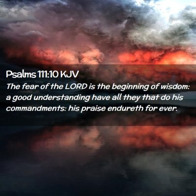 Picture 02 - Psalms 111:10 KJV - The fear of the LORD is the beginning of wisdom: - Bible Verse Picture