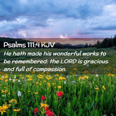 Picture 02 - Psalms 111:4 KJV - He hath made his wonderful works to be - Bible Verse Picture