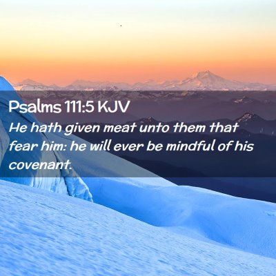 Picture 02 - Psalms 111:5 KJV - He hath given meat unto them that fear him: he - Bible Verse Picture